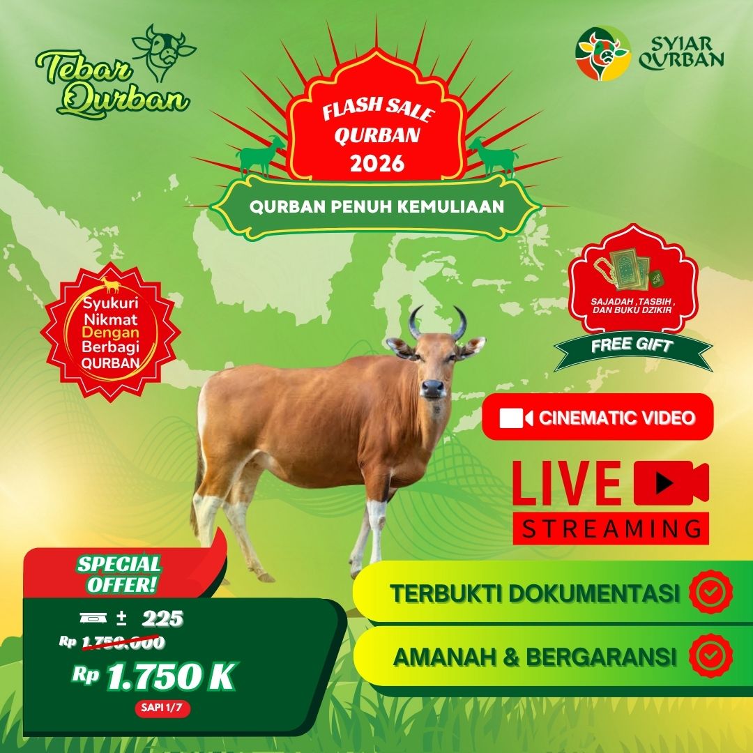 Sapi 1 Ekor